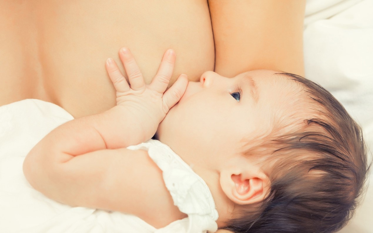 除了哺餵母乳，也能替寶寶補充有助學習的營養配方，如：SHMO、神經鞘磷脂EX、膽素、葉黃素、DHA等。
