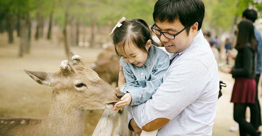 為什麼亞洲的父母像是動物園裡的動物，等著在家被看？