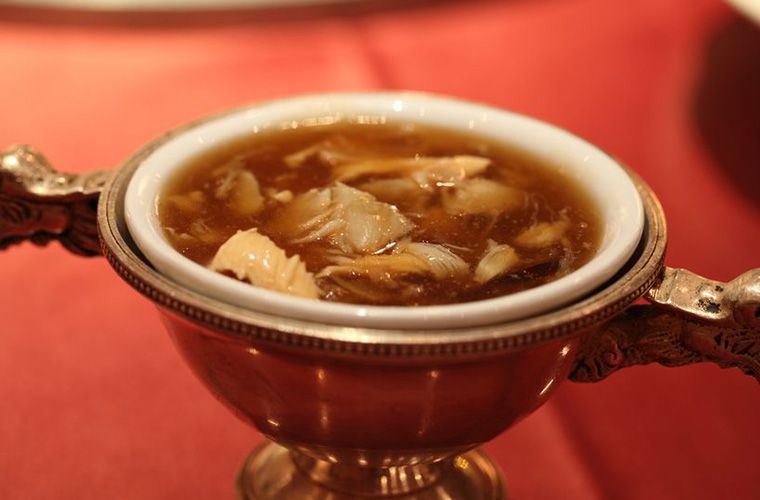 【餐桌上的自然課】吃魚翅的真相