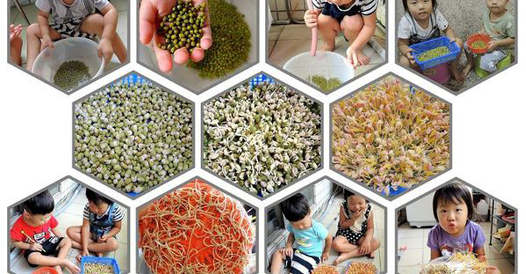 【親子DIY】跟孩子一起種綠豆芽，觀察綠豆生長過程