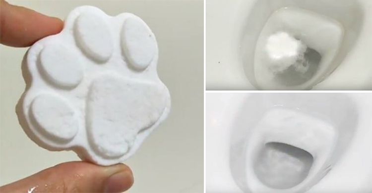 小蘇打熊掌炸彈DIY，輕鬆清潔馬桶、排水孔！
