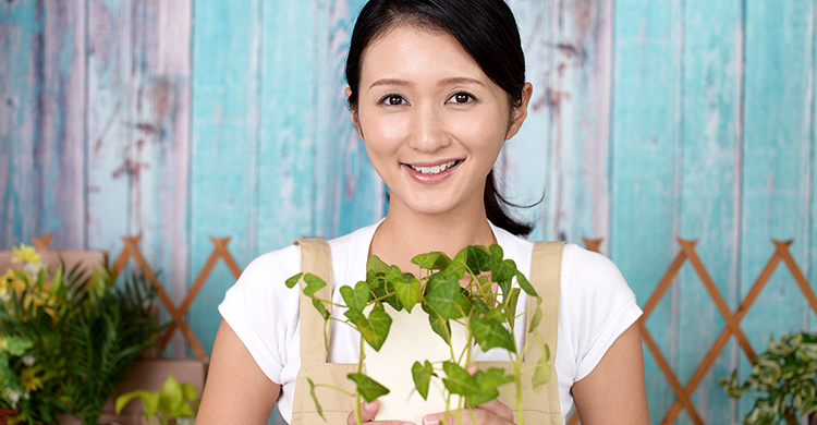善用盆栽淨化室內空氣，植物是最天然の空氣清淨機！