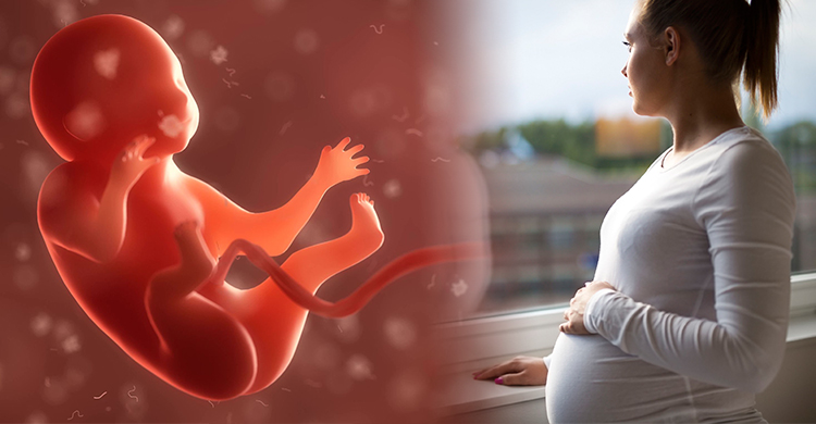 子宮外孕,胎兒健康,懷孕初期