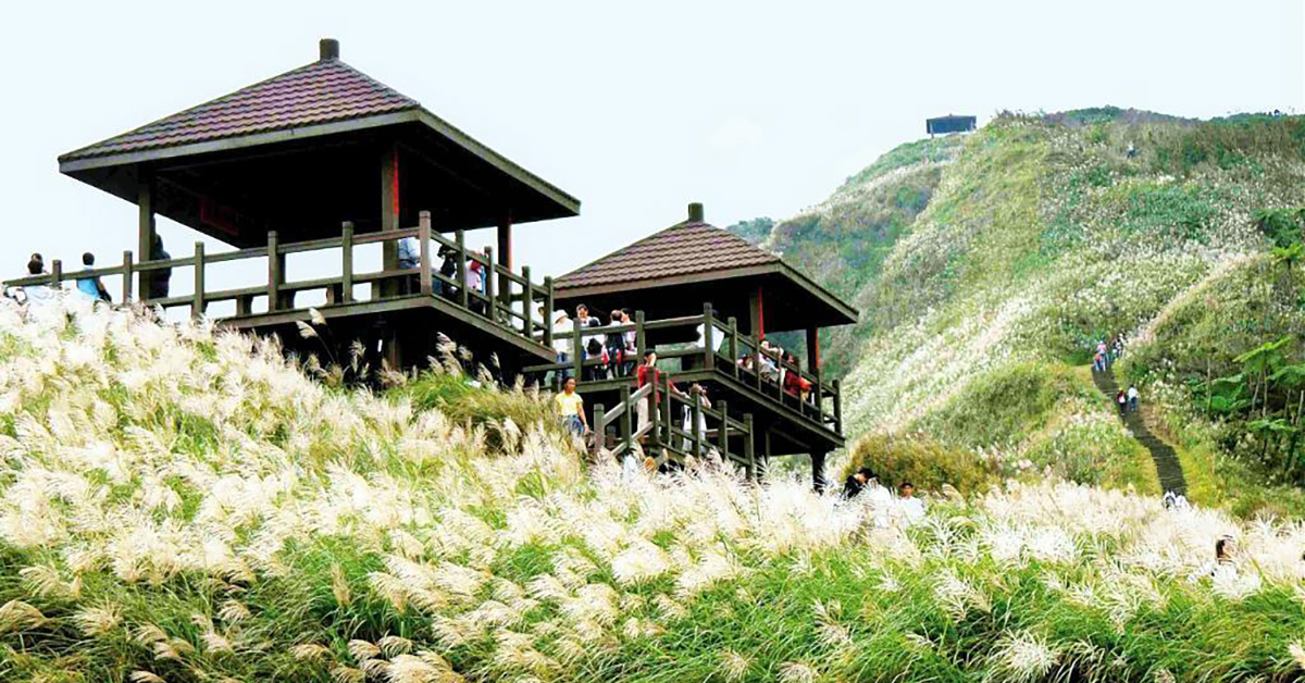 健行,登山,健行步道