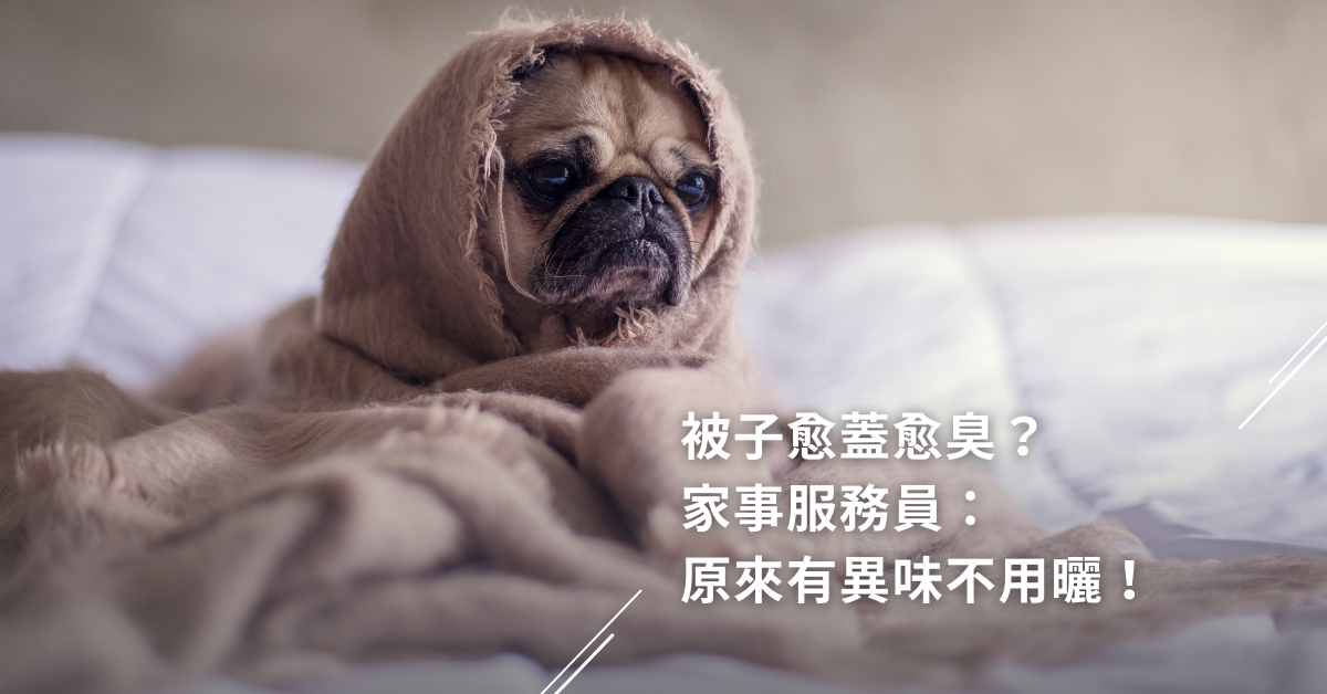 換季,被子,潮濕,有異味