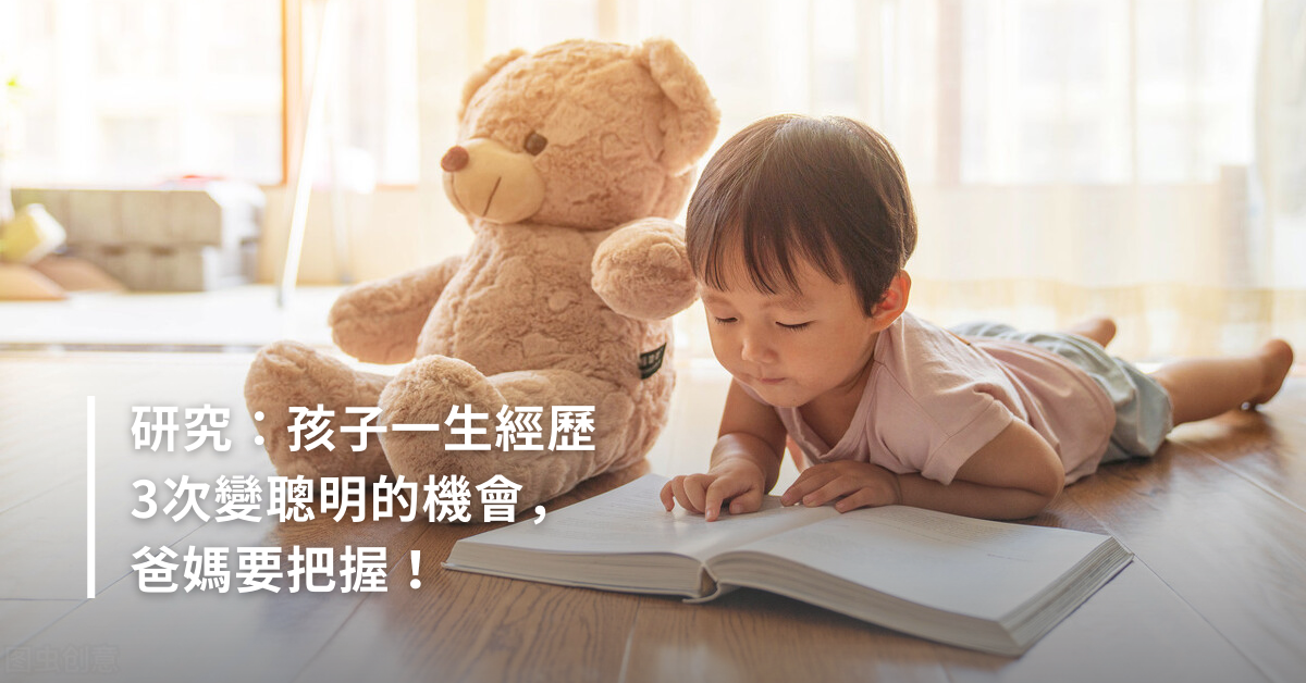聰明,學習,大腦發育