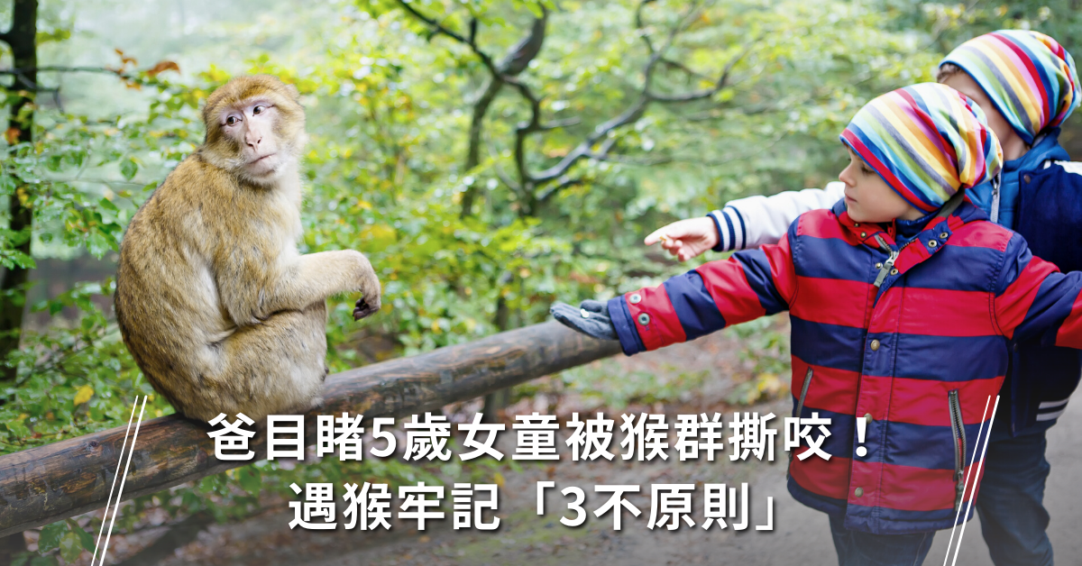 出遊注意事項,猴群