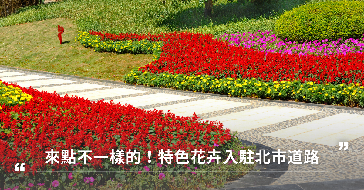臺北市,花卉,公園,道路綠化