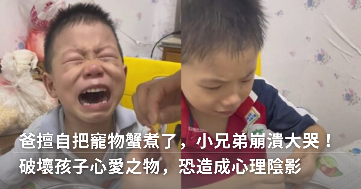 寵物蟹,育兒,父子關係,中國新聞,父母擅作主張