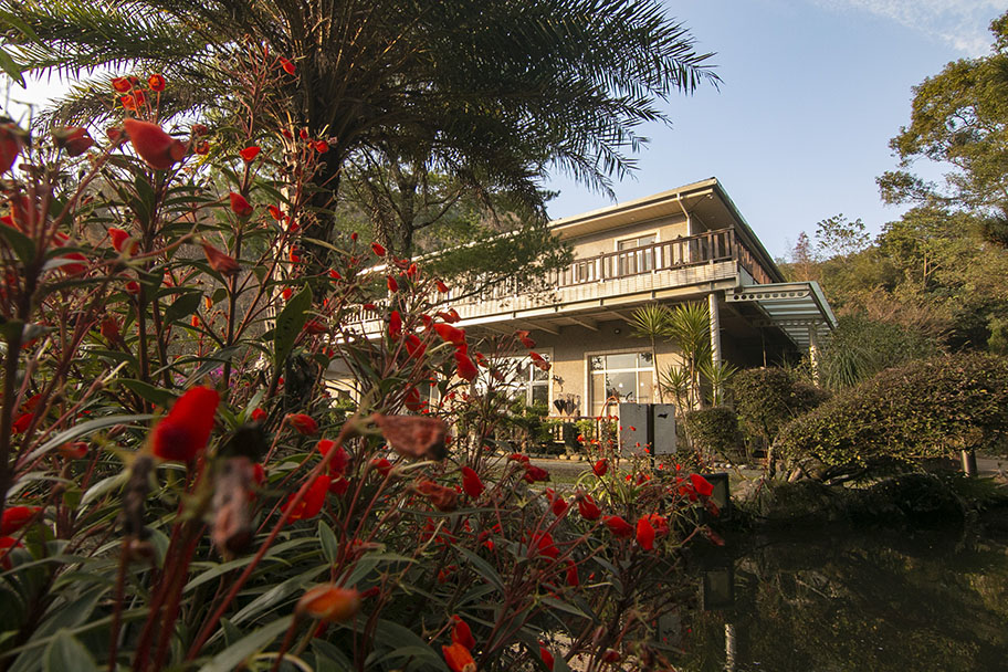 桃竹苗,油桐花,親子旅遊